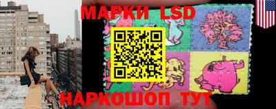 стаф Новодвинск