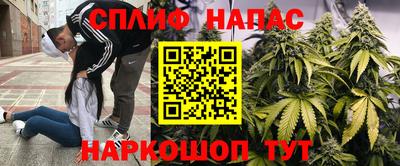 apvp Будённовск