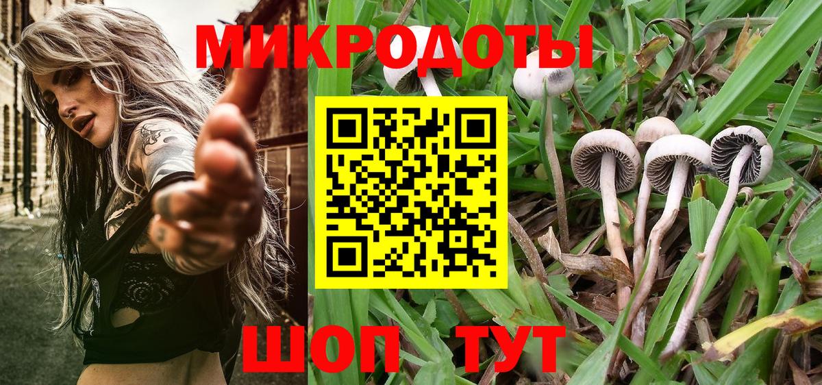 Галлюциногенные грибы Psilocybine cubensis Алапаевск